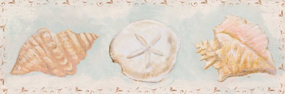 Wall Art Painting id:52148, Name: Sandy Shells II, Artist: Hakimipour, Tiffany