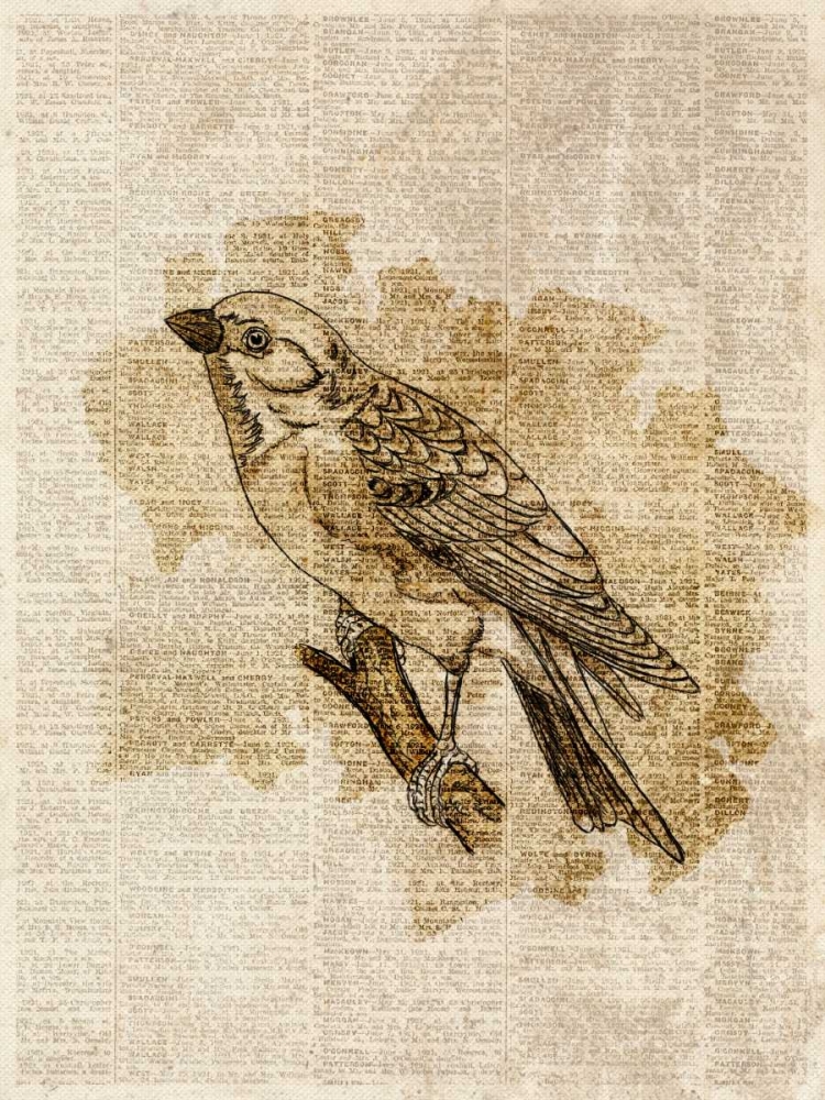 Wall Art Painting id:24040, Name: Vintage Bird I, Artist: SD Graphics Studio