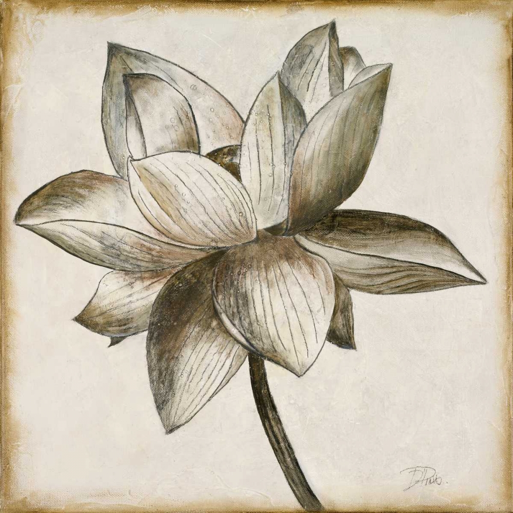 Wall art: Sepia Lotus I, by Pinto, Patricia