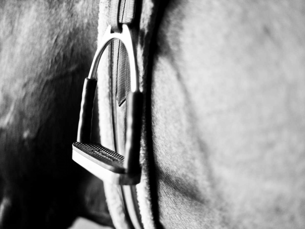 Wall Art Painting id:23601, Name: Horseback Riding II, Artist: Bryant, Susan