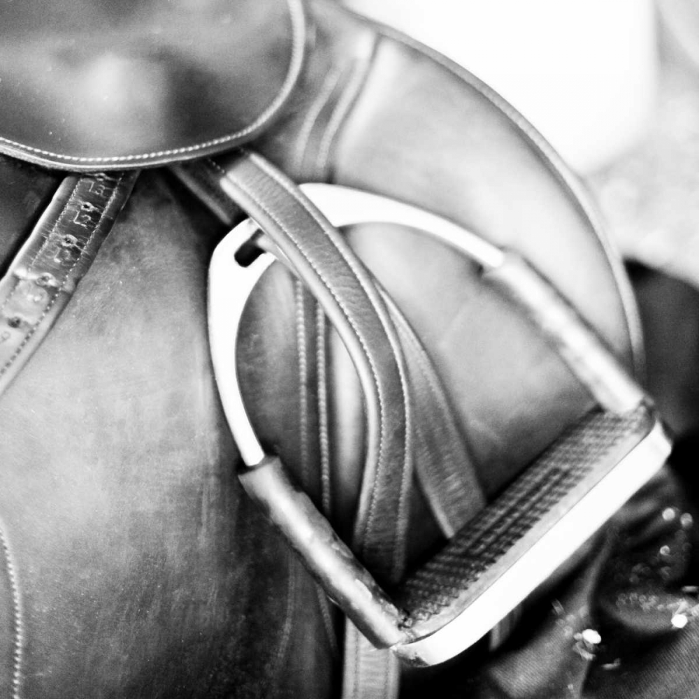 Wall Art Painting id:23834, Name: Derby Square II, Artist: Bryant, Susan