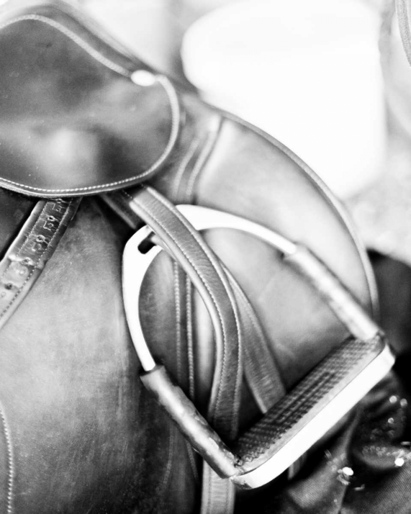 Wall Art Painting id:15545, Name: Derby II, Artist: Bryant, Susan