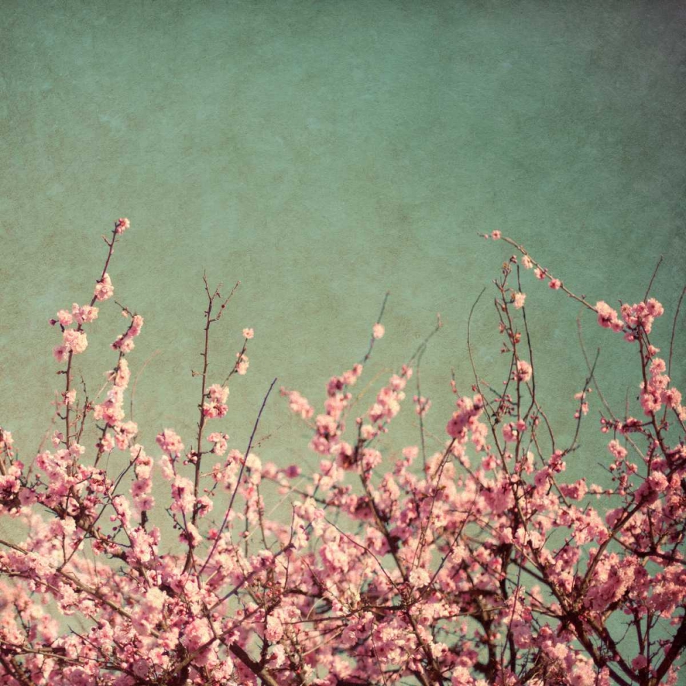 Wall Art Painting id:15547, Name: Springtime I, Artist: Bryant, Susan