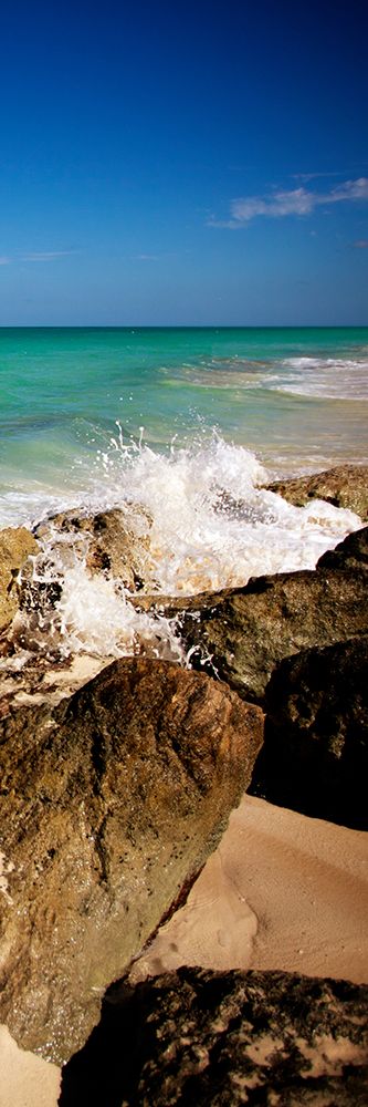 Wall Art Painting id:523725, Name: Rising Tide Panel I, Artist: Bryant, Susan