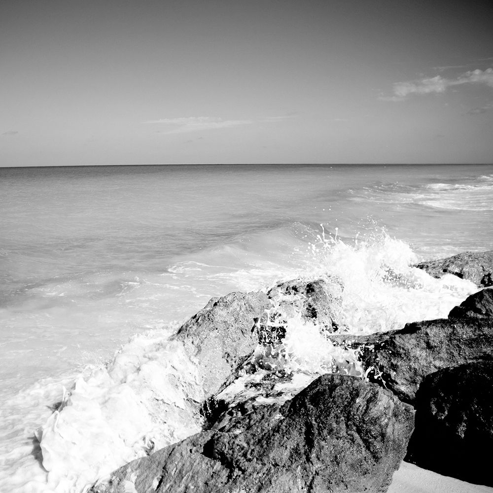 Wall Art Painting id:768419, Name: Rising Tide Square I (black and white), Artist: Bryant, Susan