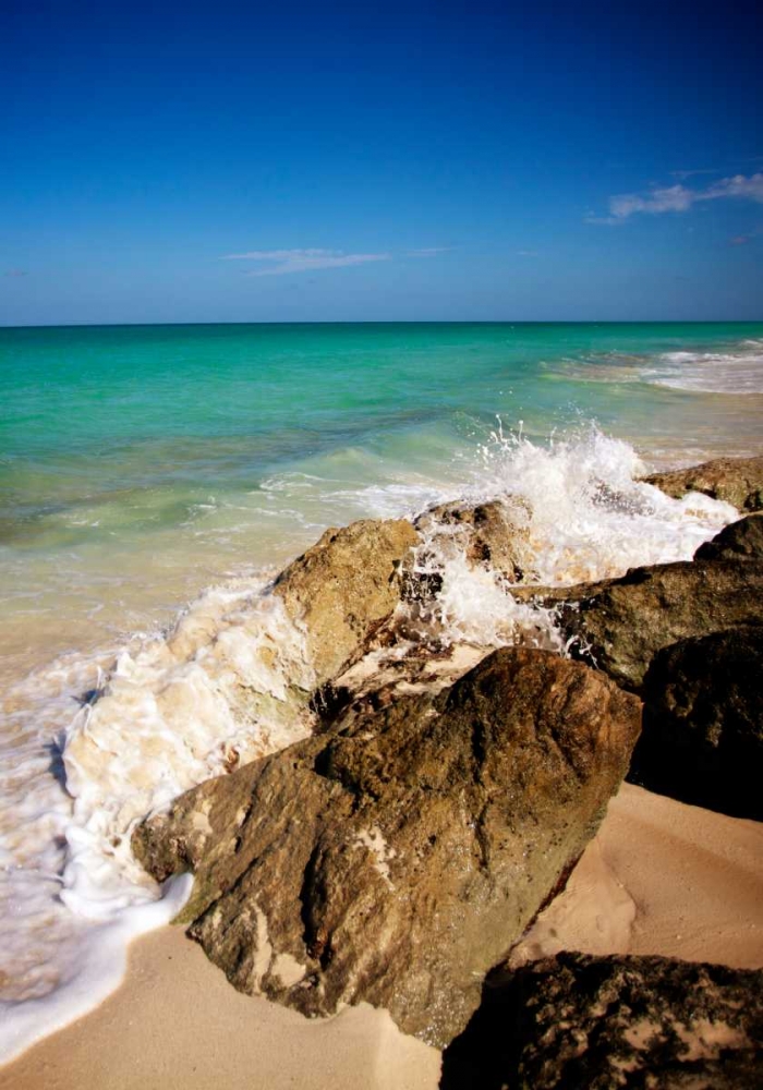 Wall Art Painting id:24158, Name: Rising Tide I, Artist: Bryant, Susan