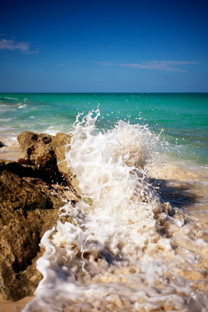 Wall Art Painting id:24159, Name: Rising Tide II, Artist: Bryant, Susan