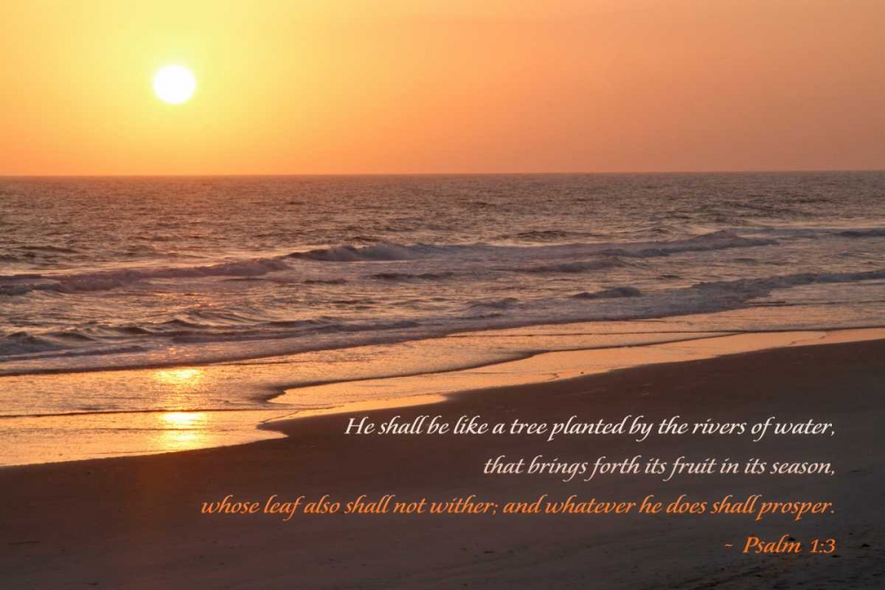 Wall art: Sunrise II, by Mansfield, Kathy