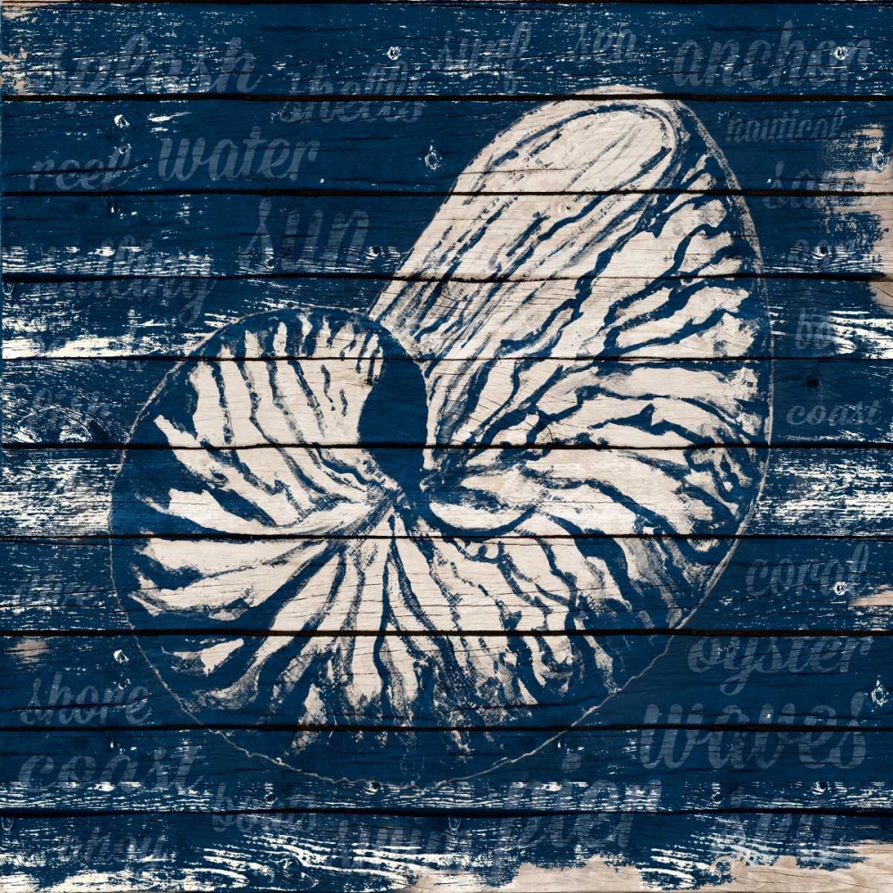 Wall Art Painting id:77954, Name: Coastal Wonder V, Artist: Ritter, Gina