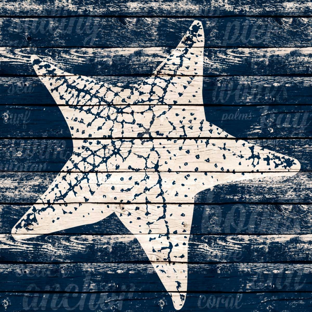 Wall Art Painting id:77953, Name: Coastal Wonder IV, Artist: Ritter, Gina