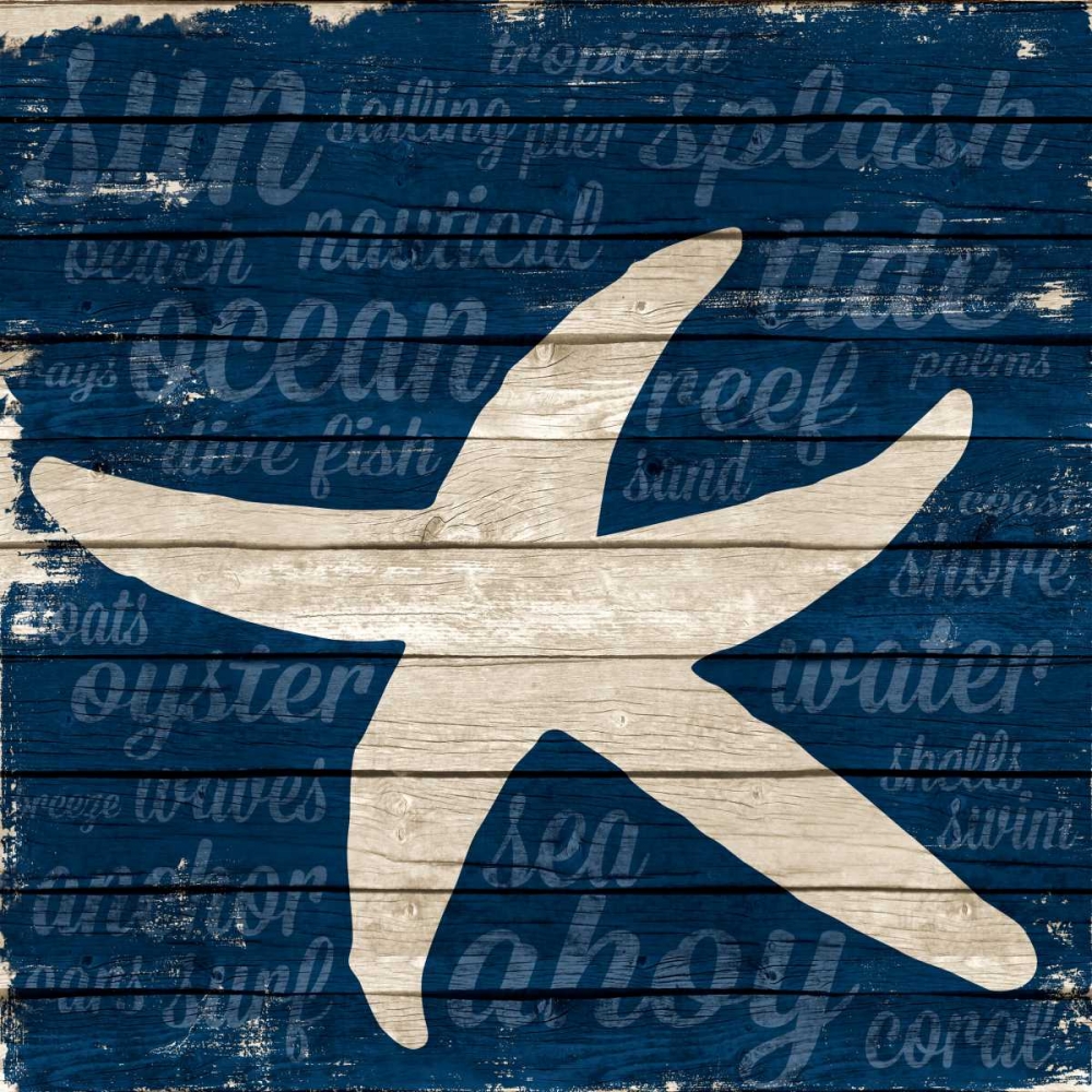 Wall Art Painting id:52134, Name: Coastal Wonder Border II, Artist: Ritter, Gina