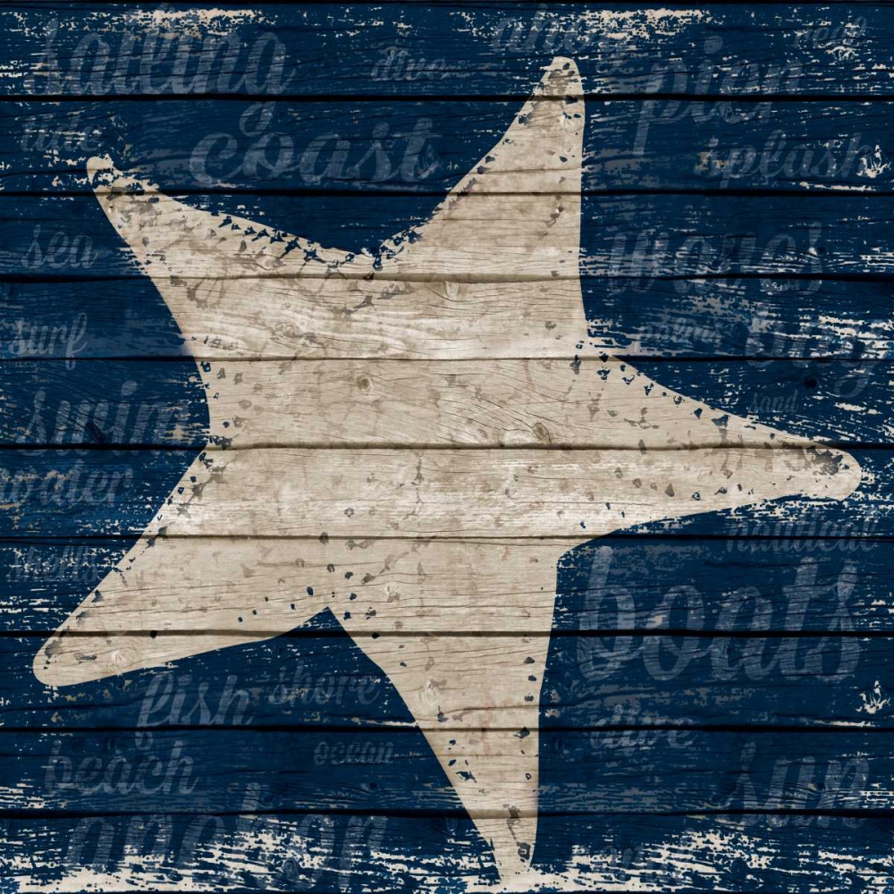 Wall Art Painting id:52132, Name: Coastal Wonder IV, Artist: Ritter, Gina