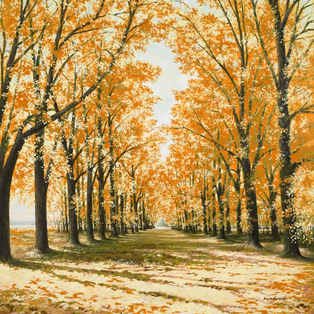 Art Print: Falls Cathedral