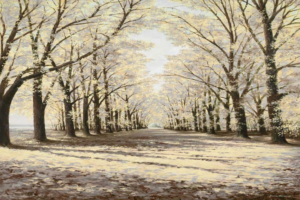 Art Print: Winter Cathedral