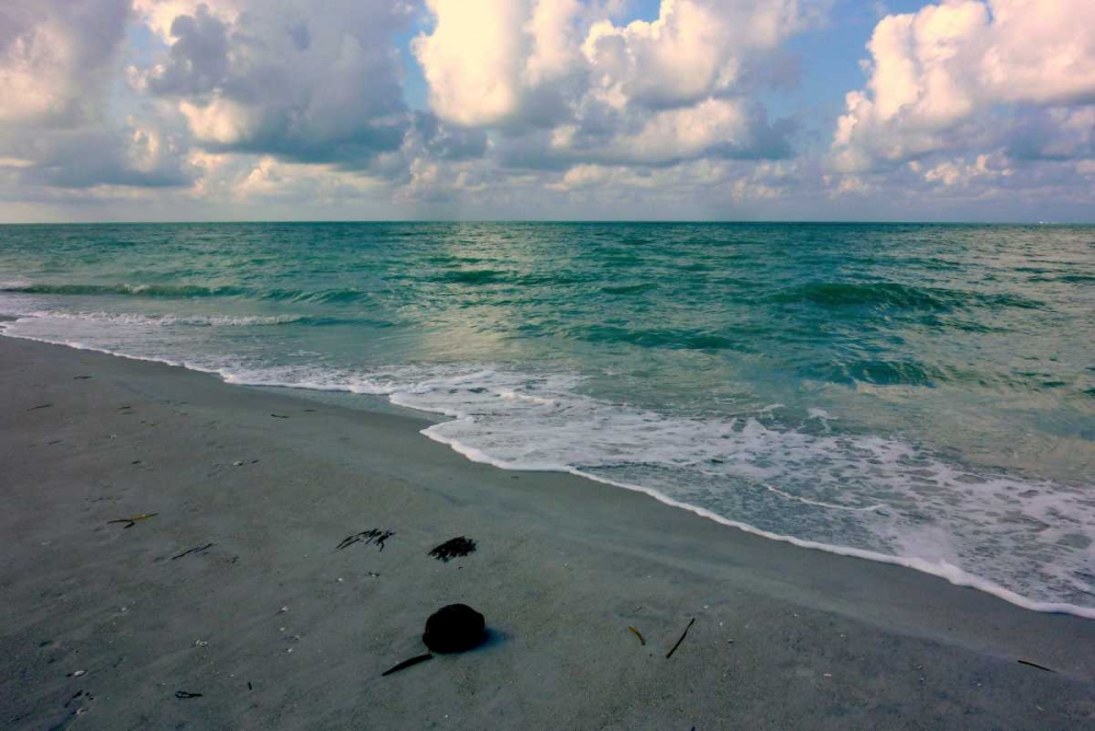 Wall Art Painting id:31844, Name: Emerald Sea, Artist: Peck, Gail