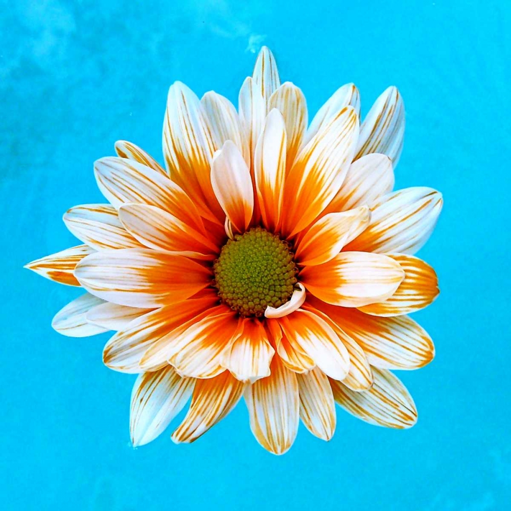 Similar wall art painting: 31848