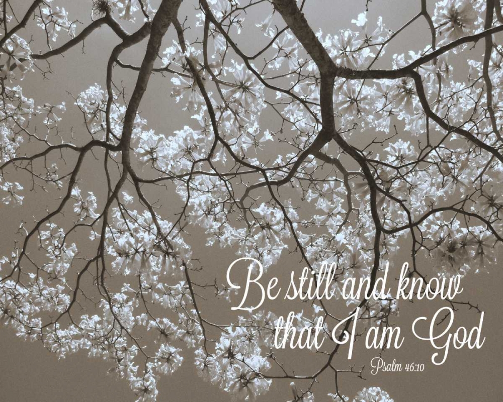 Wall Art Painting id:31852, Name: Be Still, Artist: Peck, Gail