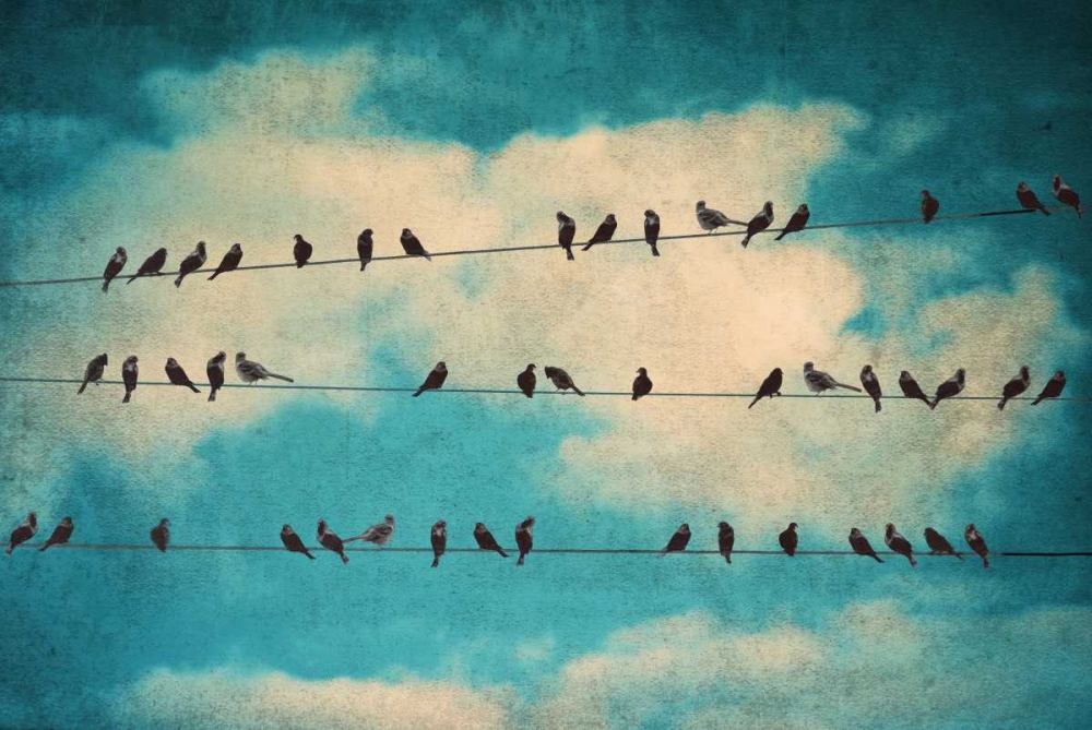 Wall Art Painting id:51520, Name: Together Again, Artist: Peck, Gail