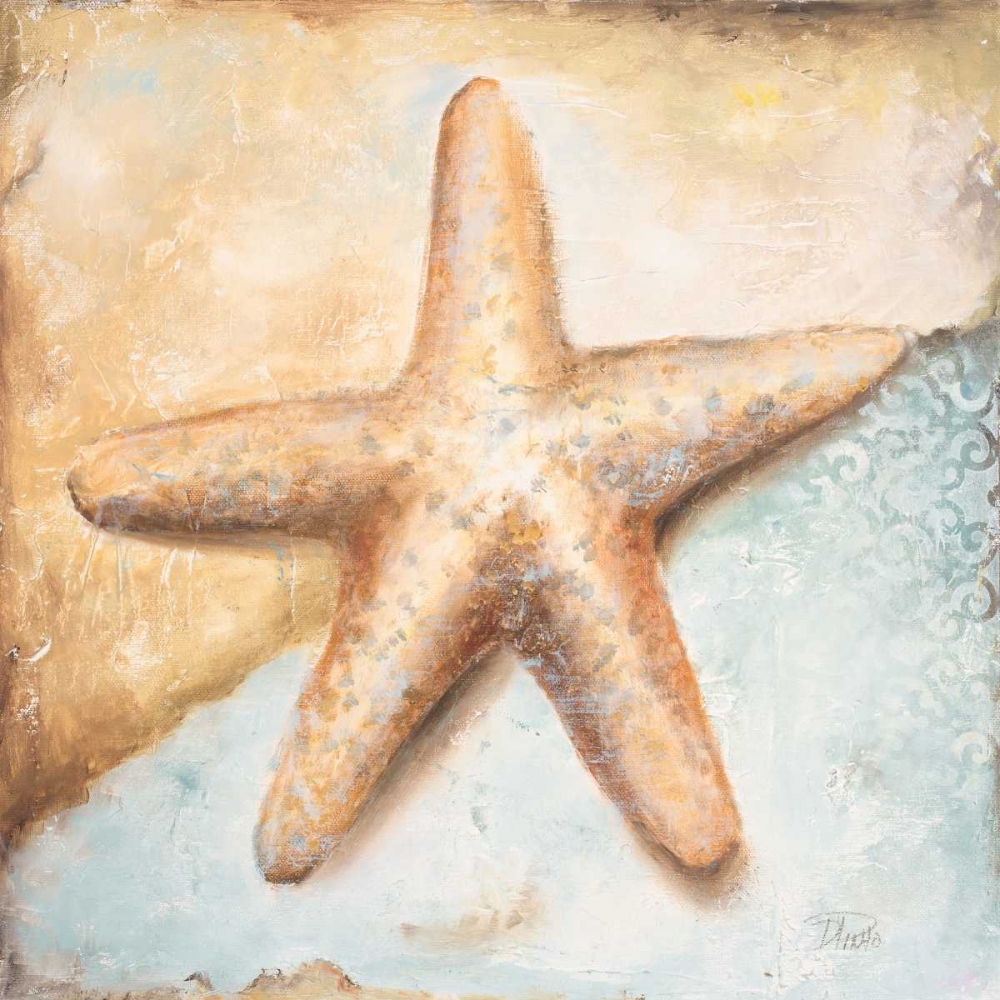 Art Print: Seashell Collection II