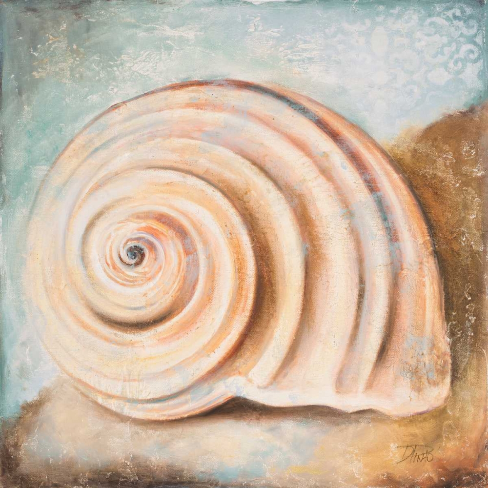Art Print: Seashell Collection IV