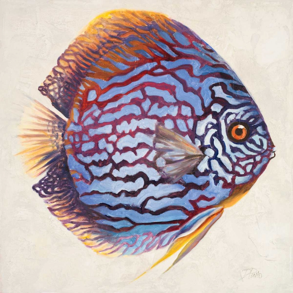 Wall Art Painting id:24079, Name: Little Fish I, Artist: Pinto, Patricia