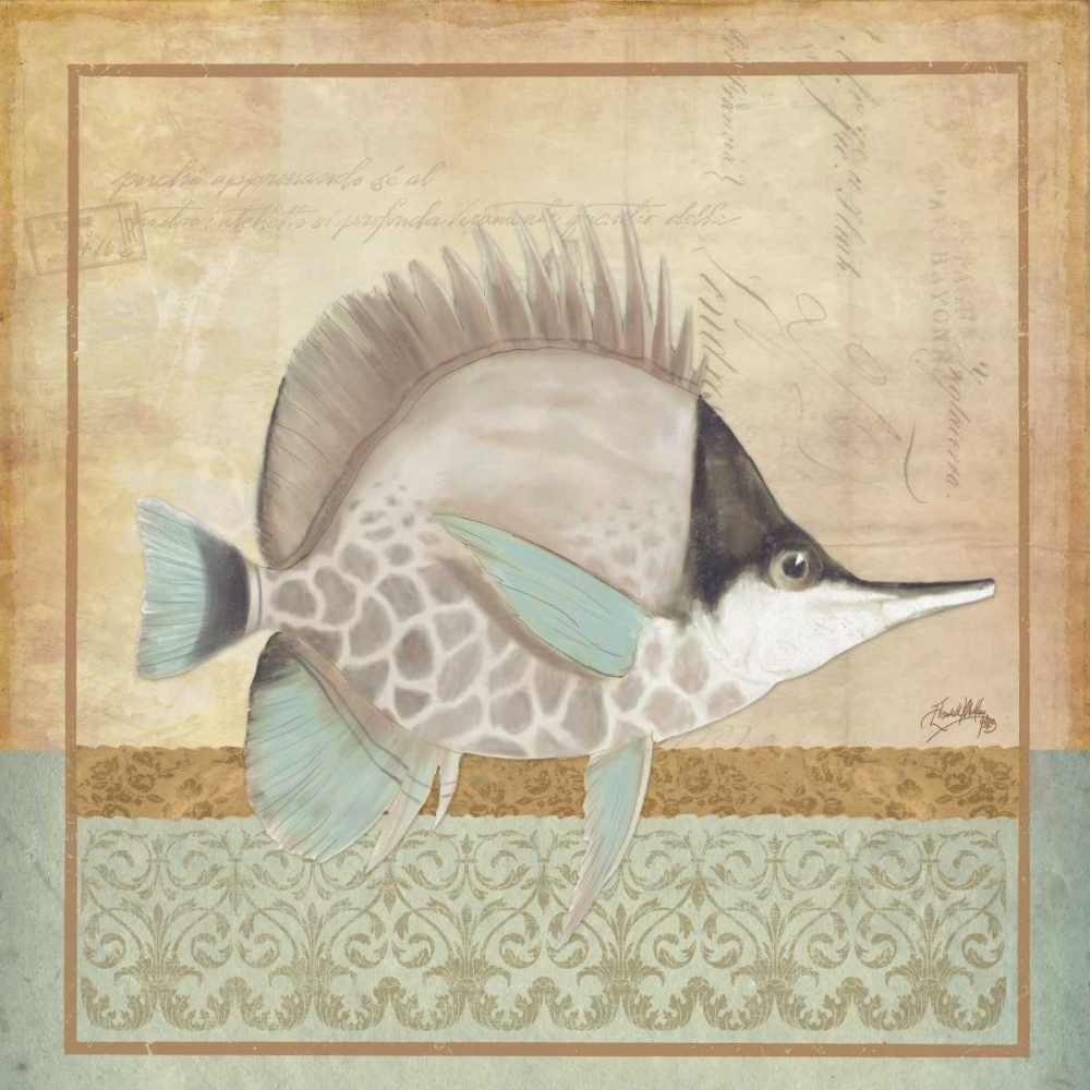 Wall Art Painting id:24089, Name: Vintage Fish IV, Artist: Medley, Elizabeth