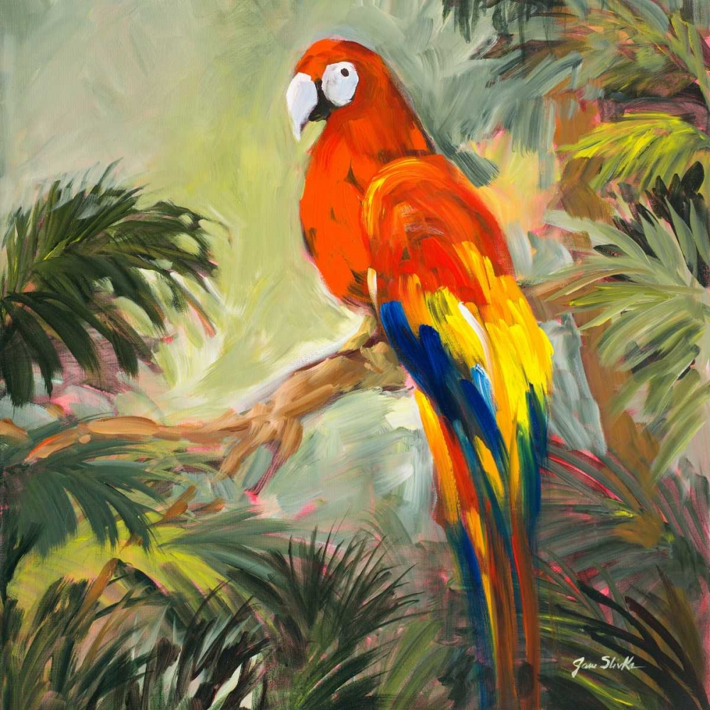 Wall Art Painting id:15570, Name: Parrots at Bay I, Artist: Slivka, Jane