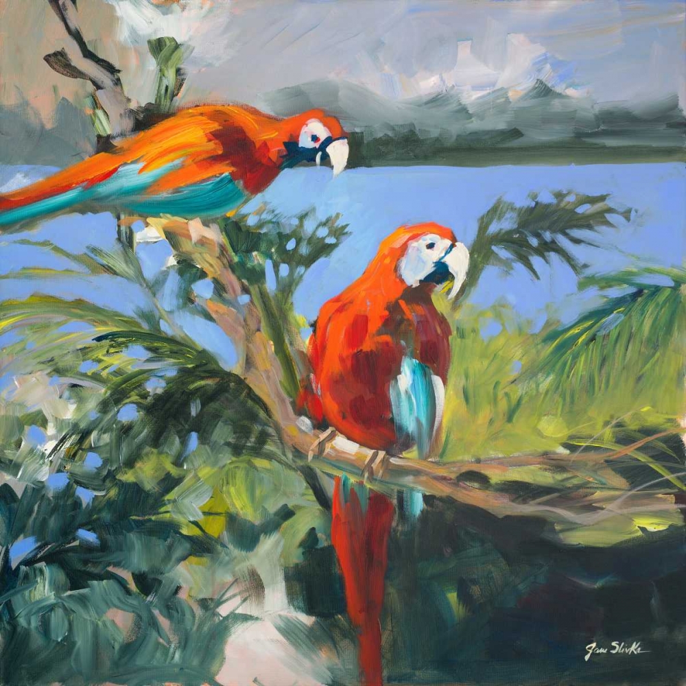 Wall Art Painting id:15571, Name: Parrots at Bay II, Artist: Slivka, Jane