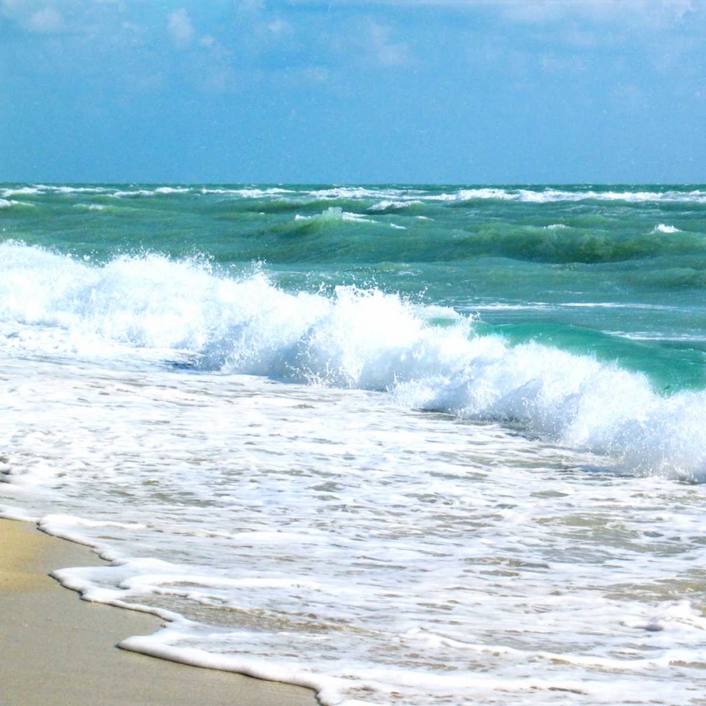 Wall Art Painting id:24191, Name: Teal Surf I, Artist: Biscardi, Nicholas