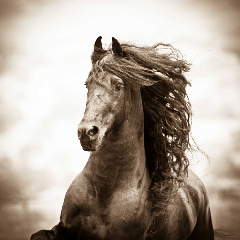 Similar wall art painting: 15577