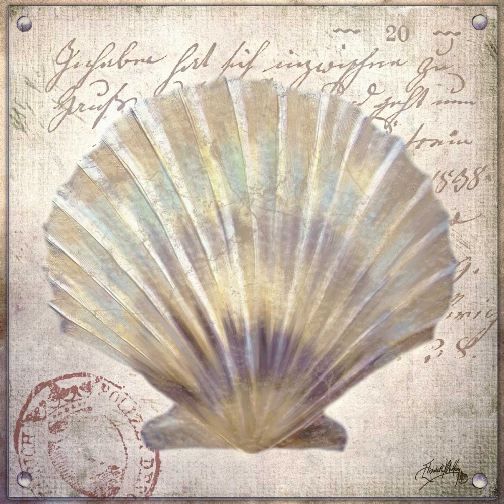 Wall Art Painting id:32447, Name: Beach Shell I, Artist: Medley, Elizabeth