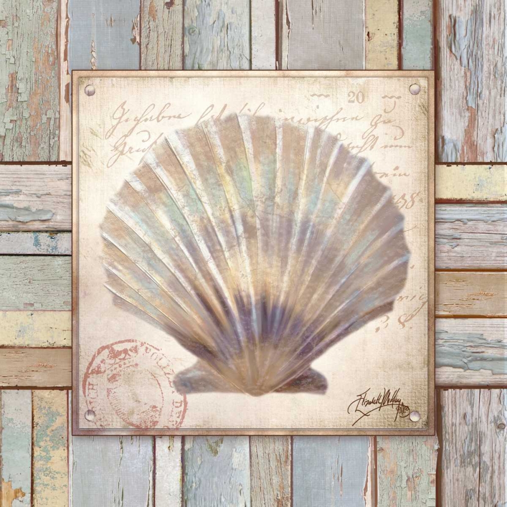 Wall Art Painting id:24313, Name: Beach Shell I, Artist: Medley, Elizabeth