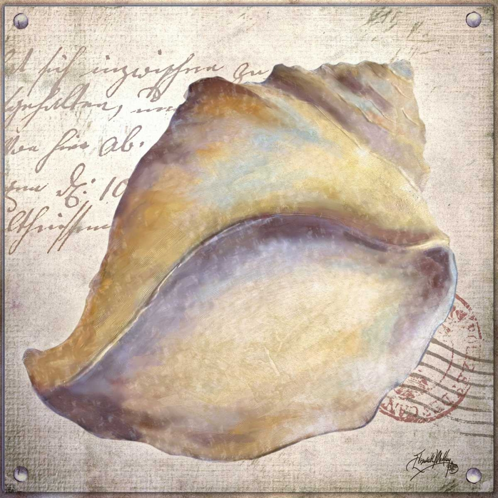 Wall Art Painting id:32450, Name: Beach Shell II, Artist: Medley, Elizabeth