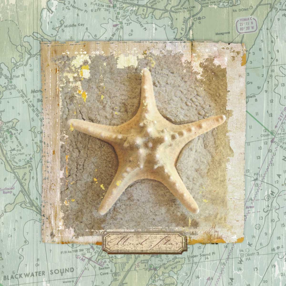 Wall Art Painting id:23964, Name: Seashore Collection III, Artist: Medley, Elizabeth