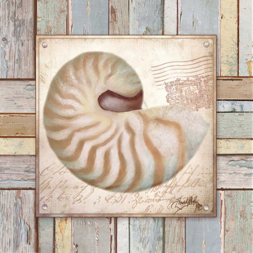 Wall Art Painting id:32445, Name: Beach Shell III, Artist: Medley, Elizabeth