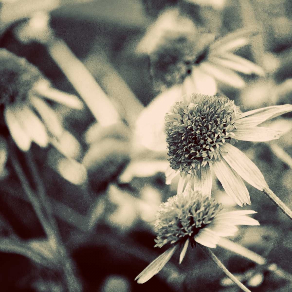 Similar wall art painting: 73955