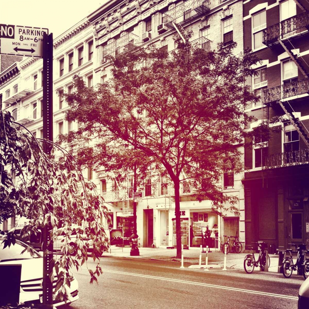 Art Print: Downtown Border