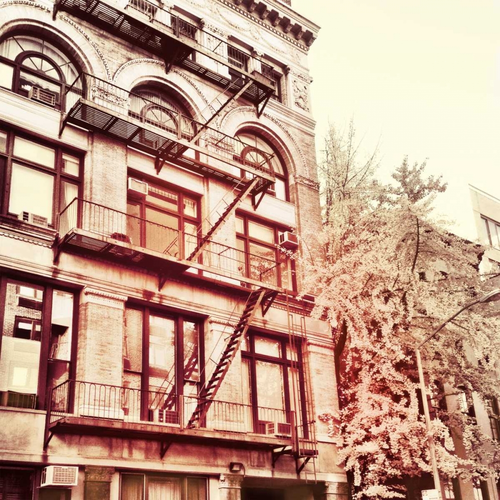 Art Print: Uptown Border