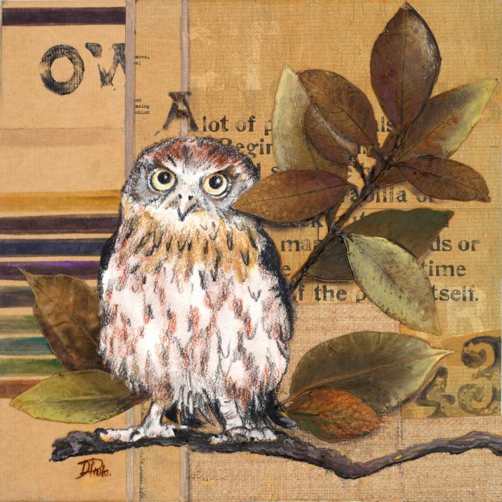 Wall Art Painting id:24315, Name: Little Owls I, Artist: Pinto, Patricia