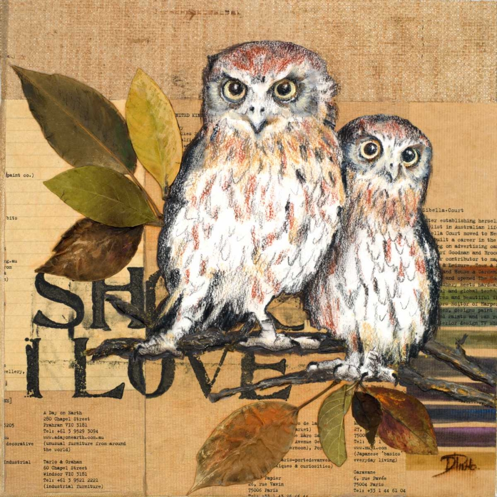 Wall Art Painting id:24316, Name: Little Owls II, Artist: Pinto, Patricia