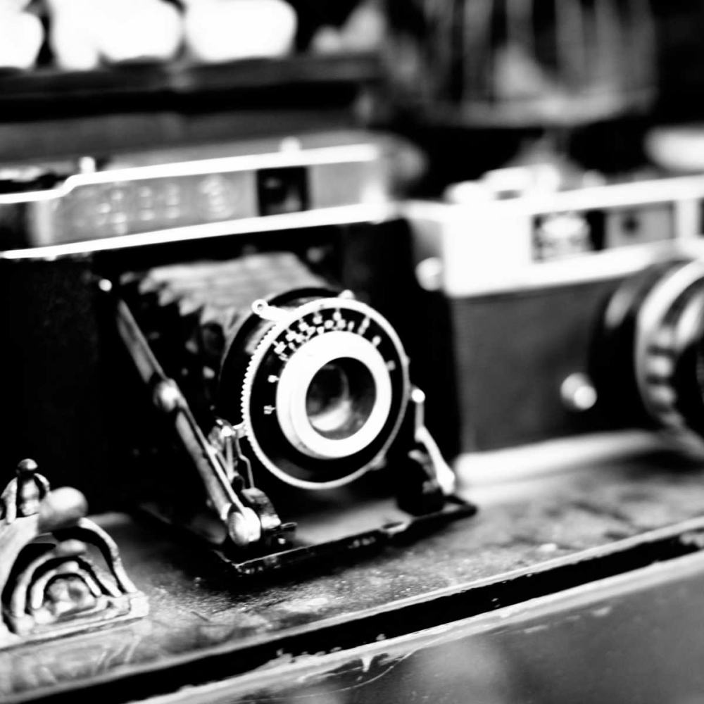 Wall Art Painting id:24318, Name: Rare Finds I, Artist: Bryant, Susan