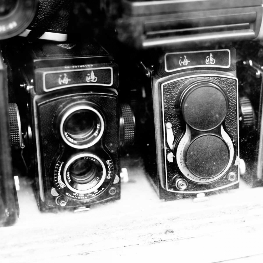 Wall Art Painting id:24320, Name: Rare Finds II, Artist: Bryant, Susan