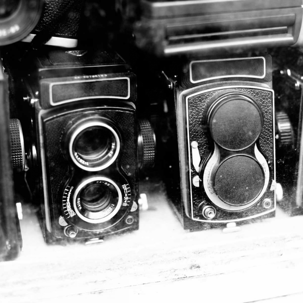 Wall Art Painting id:51480, Name: Rare Finds II, Artist: Bryant, Susan