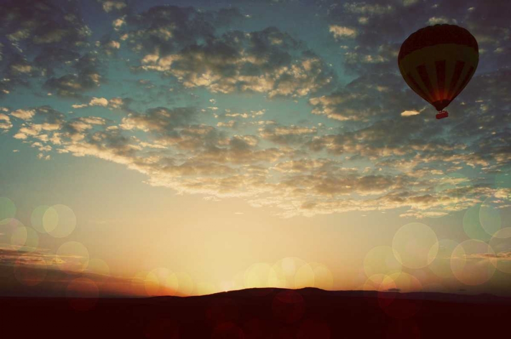 Wall Art Painting id:31868, Name: Mara Balloon, Artist: Bryant, Susan