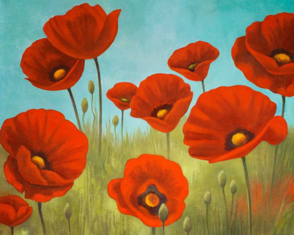 Wall Art Painting id:24105, Name: Field of Poppies II, Artist: Rhyan, Vivien