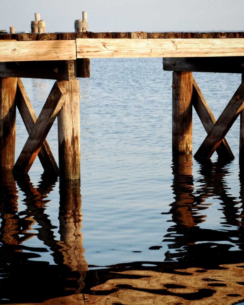 Wall Art Painting id:15594, Name: Waterside Beauty I, Artist: Peck, Gail