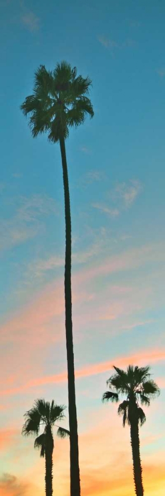 Wall Art Painting id:24108, Name: Sunset Palms, Artist: Peck, Gail