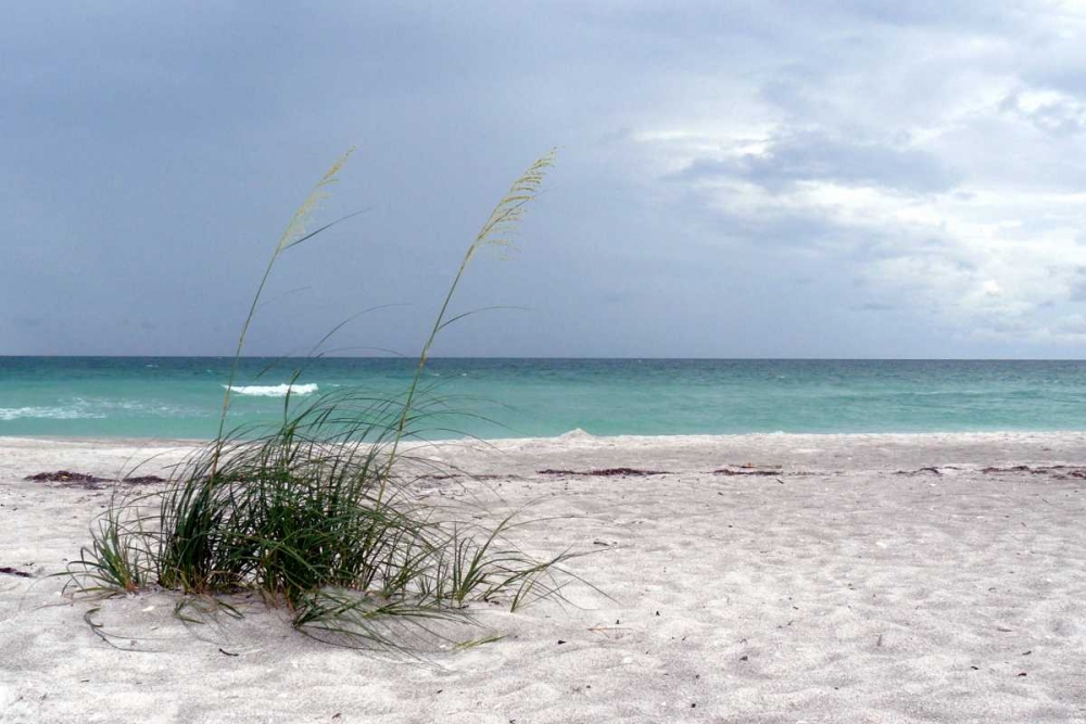 Wall Art Painting id:32551, Name: Shoreline, Artist: Peck, Gail