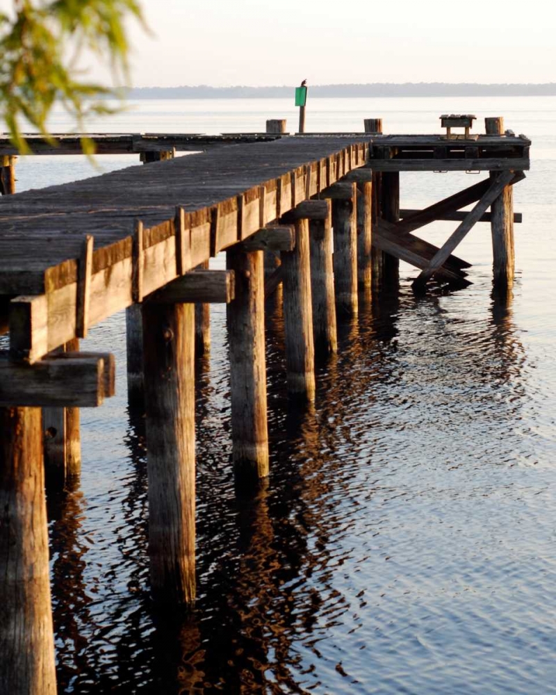 Wall Art Painting id:15595, Name: Waterside Beauty II, Artist: Peck, Gail