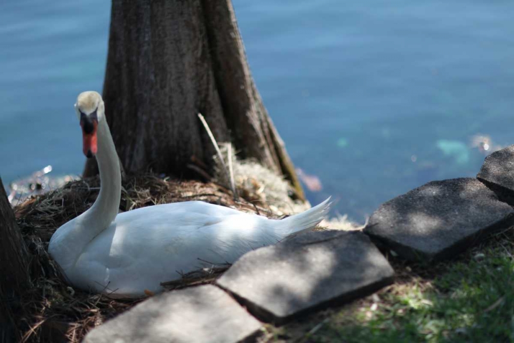 Wall Art Painting id:32549, Name: Blue Sky Beach I, Artist: Rodriguez, Jairo